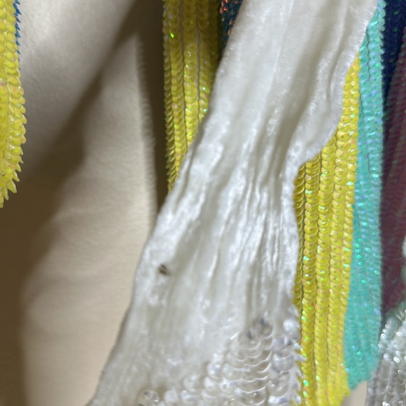 Retrofete Gabrielle Sequin Rainbow Dress Velvet Chiffon Womens Size Small - Picture 3 of 14